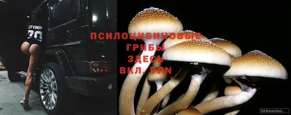 твердый Богданович