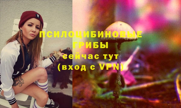 MDMA Premium VHQ Богородицк
