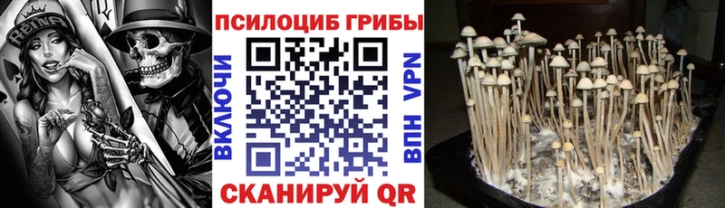 Галлюциногенные грибы мухоморы где купить наркоту Жигулёвск